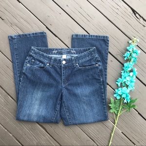 Christopher & Banks Modern Fit Jeans